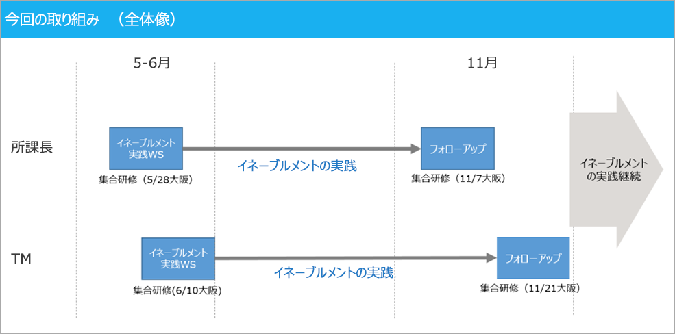 今回の取り組み（全体像）